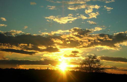 Ferienwohnung Moritzburg - Foto 9