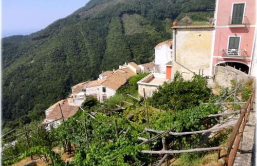 A casa di nonna Elvira - Foto 1