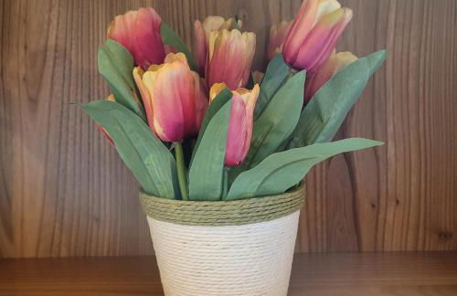 Castello Mountain Lake Iseo Hospitaty - Photo 30