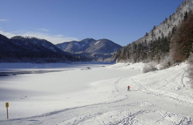 Holiday Apartment Alpenstern - Foto 12