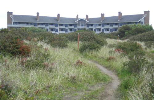 The Grey Gull - Foto 30