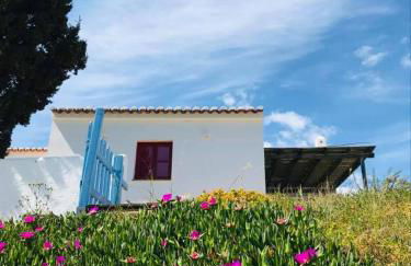 Casa Pedralva - Foto 23