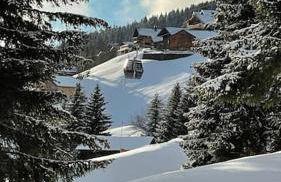 La Perle des Alpes C10 Apart.4* #Yolo Alp Home - Foto 32
