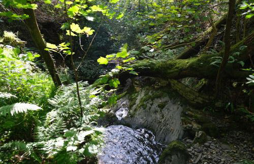 Ty Farm Retreat - Farmhouse Studio - Mountain View - Foto 26