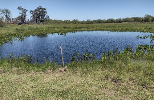 Pousada das Palmeiras - Foto 41