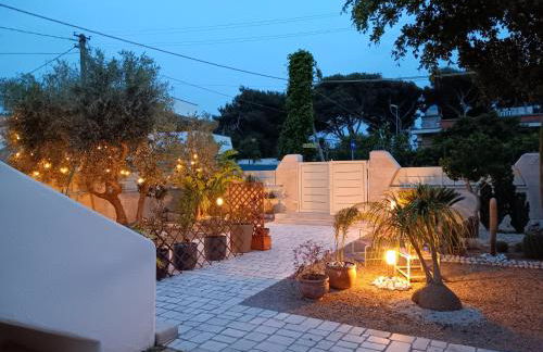 b&b Stella marina torre guaceto - Foto 29