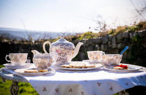 Pen-Y-Graig Cottage Llandeilo - Foto 12