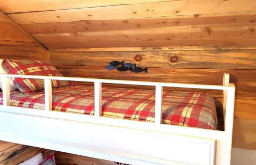 Sequoia Splendor, inside Kings Canyon NP by Visitors Center - Foto 54