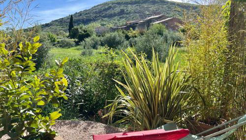 Gîte de groupe Salagou 14 pers - Foto 4