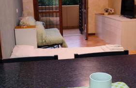 Friend of all the world - Giardino di Roma - Casal Bernocchi - Acilia - Foto 28