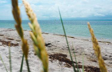 Szumiwoda Apartamenty Kuźnica - Photo 26