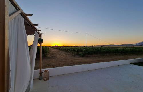 Herdade das Castas Nobres - Foto 15