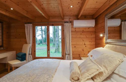 Woodpeckers - Photo 18