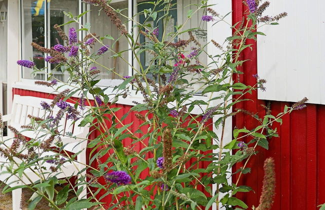 6 Person Holiday Home in Mellbystrand-by Traum - Foto 21