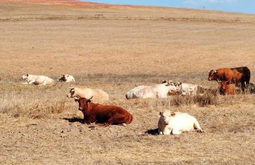Canto da Planície - Foto 68