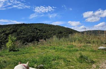 La cabane d'antoine - Foto 21