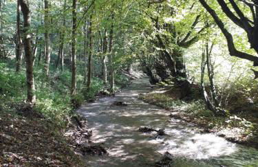 FEWO Zum Golfplatz - Foto 44