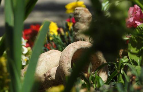 Zimski san - Foto 55