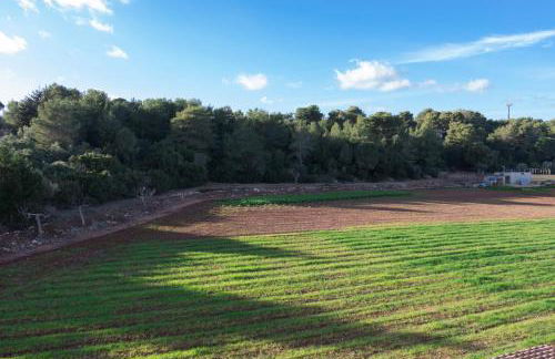 Maison du Salento - Foto 6