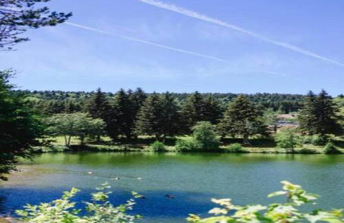 Apartment in Dachsberg-urberg - Foto 72