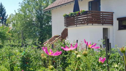 Apartment Murva - Foto 3