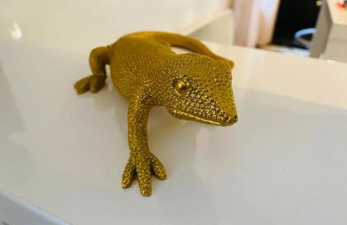 Maison entière avec jardin - Comet Arena - Zenith - Photo 14