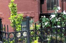 Spacious and Private 3BR, 3BA with free parking near Downtown Washington DC - Foto 52