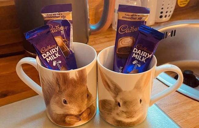 A Beautiful, Unique Lodge, Made for two - Photo 71