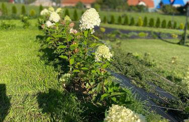 Białe Żagle Mazury - Foto 26