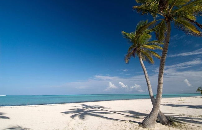 Magic Cortesea luxury beach - Foto 38