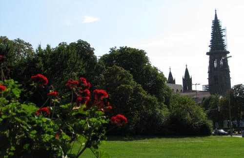Familien-Appartement Schwarzwald bei Freiburg mit bis zu 4 Schlafzimmern - Foto 54