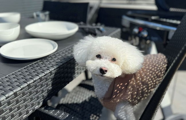 Solana Karuizawa Villa - Foto 13