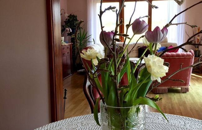 Holiday Home Near Forest and Lake in Pomeranian - Photo 20