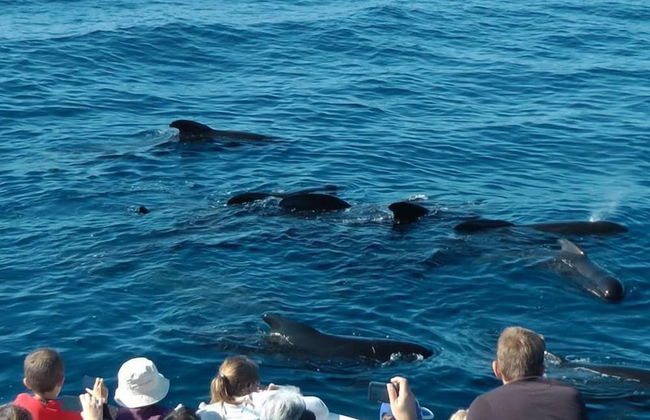 Amazing Unique Five-Star Waterfront Retreat - Foto 32