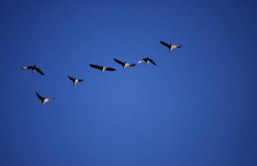 The Stables - Foto 27