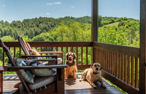 Pet Friendly NC Cabin with Views & Hot Tub - Foto 29