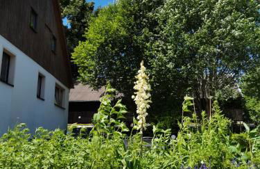 Ferienwohnungen Hering - Foto 26