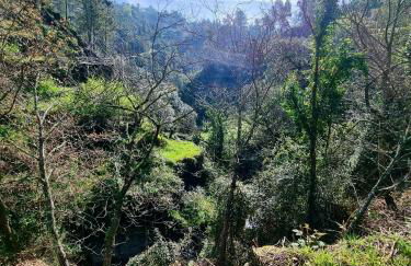 Canastro Nature Spot - Foto 54