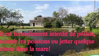 Gîte Chez jeannot SERA F E R M E en Nov 2025 - Foto 4