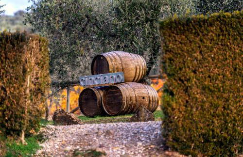 Fattoria di Cinciano - Foto 34