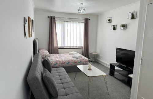 Lovely 3 bedroom house close to City Centre - Foto 3