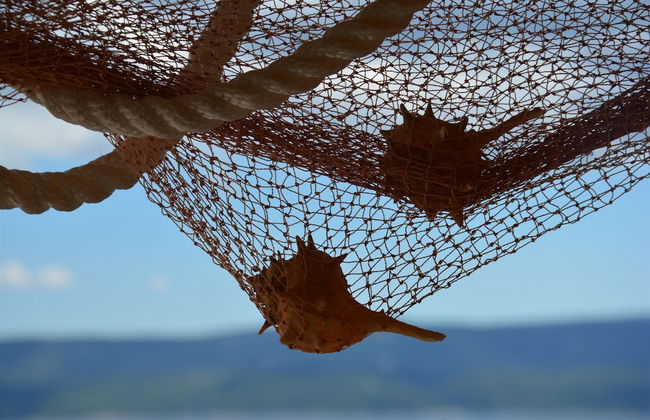 Apartments Bluesun - Foto 28