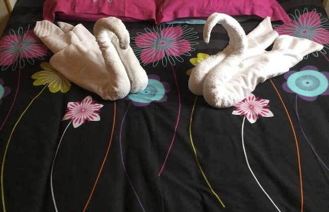 Jardins du Castel Gîtes Annick et J-Paul - Photo 3