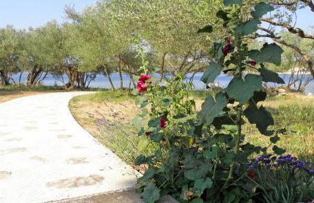 Apartments Bubica - Photo 8