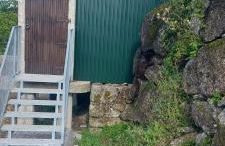 Canastro do Carvalho - Foto 1