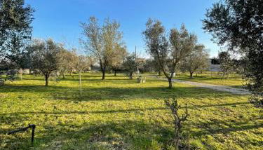 19th century Trullo Raeda in the middle of nature - Foto 4, Garden