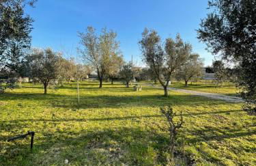 19th century Trullo Raeda in the middle of nature - Foto 4