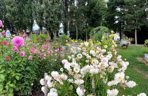 The Little Farmhouse at Oostema Farmstead - Foto 30