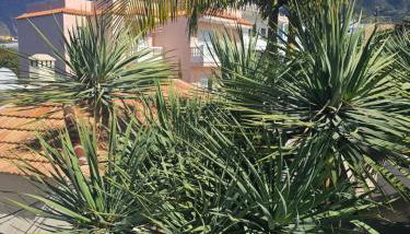 Bayton House - Foto 3