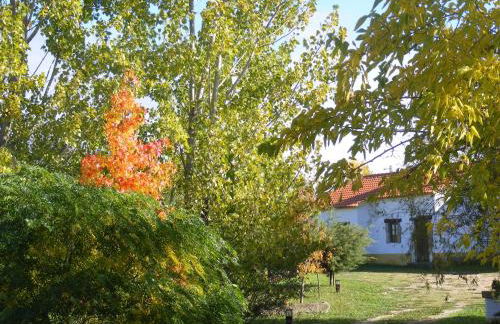 Quinta dos Trevos - Artes e Ofícios - Foto 24